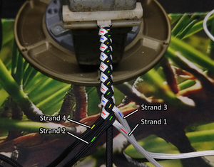 Custom Cables - Plaited